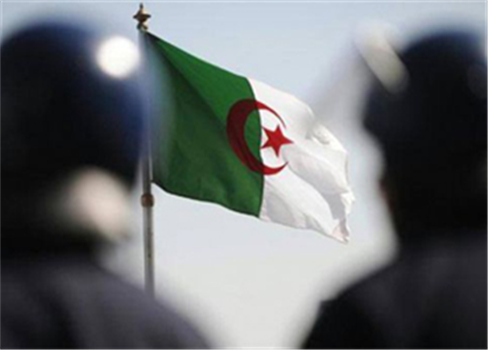 خيارات الجزائريين.. بوتفليقة .. أو الفوضى 