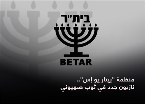 منظمة 