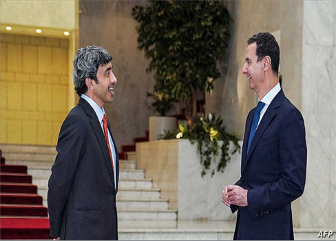 الأسد يستقبل وزير خارجية الإمارات في دمشق