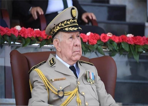 مباحثات روسية جزائرية لدعم التعاون العسكري