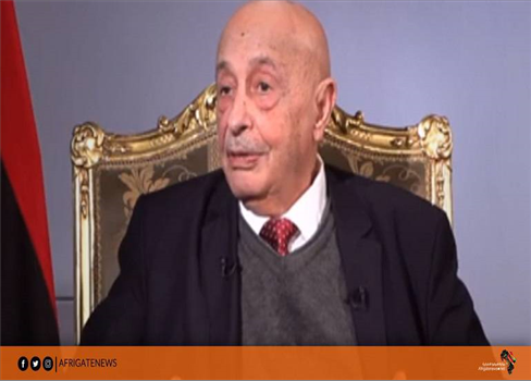 اجتماع بين صالح والمشري في القاهرة لحسم قوانين الانتخابات